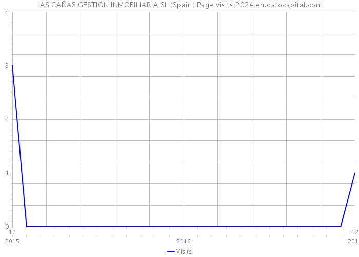 LAS CAÑAS GESTION INMOBILIARIA SL (Spain) Page visits 2024 