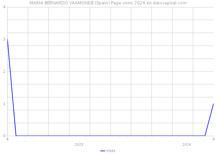MARIA BERNARDO VAAMONDE (Spain) Page visits 2024 