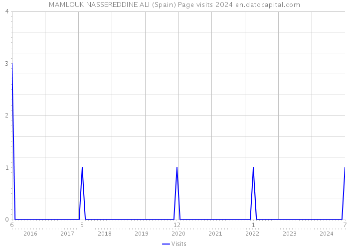 MAMLOUK NASSEREDDINE ALI (Spain) Page visits 2024 