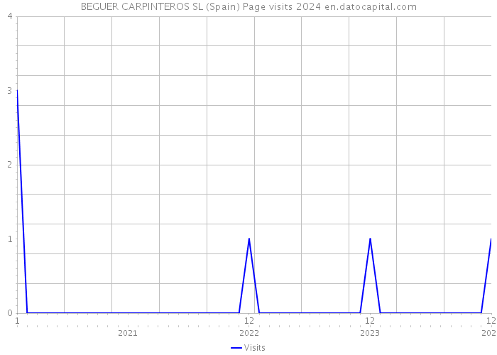 BEGUER CARPINTEROS SL (Spain) Page visits 2024 