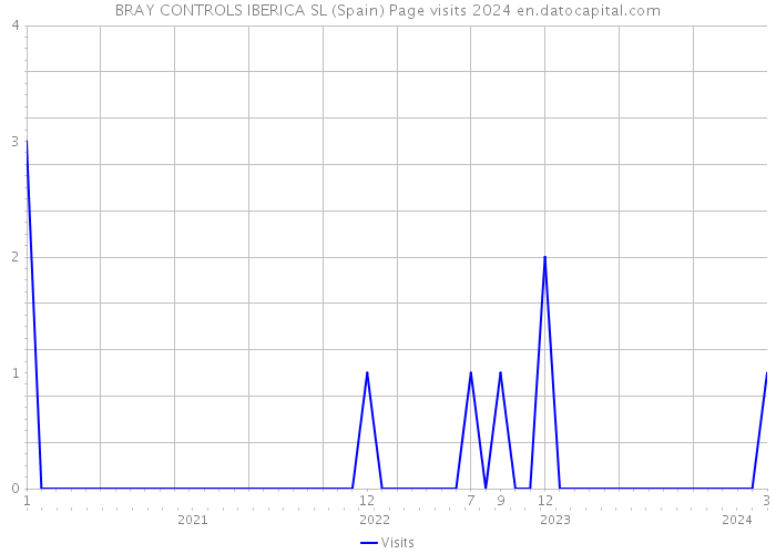 BRAY CONTROLS IBERICA SL (Spain) Page visits 2024 