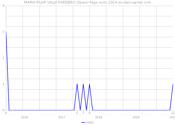 MARIA PILAR VALLE PARDEIRO (Spain) Page visits 2024 