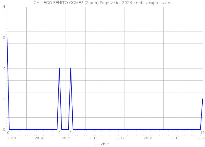 GALLEGO BENITO GOMEZ (Spain) Page visits 2024 