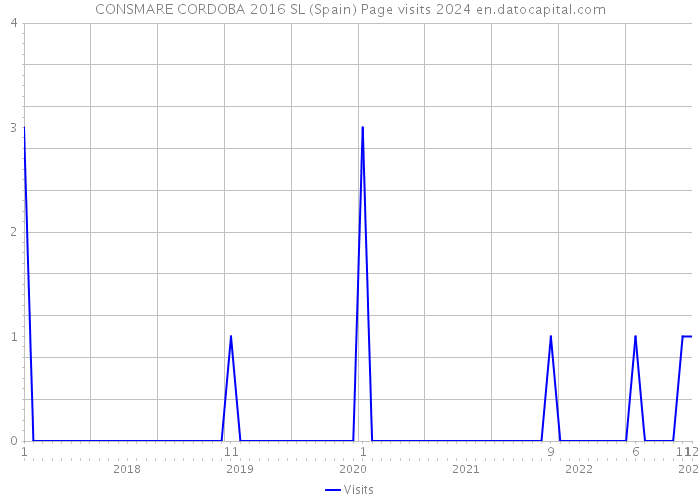 CONSMARE CORDOBA 2016 SL (Spain) Page visits 2024 