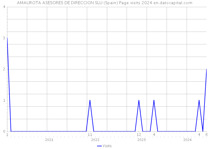 AMAUROTA ASESORES DE DIRECCION SLU (Spain) Page visits 2024 