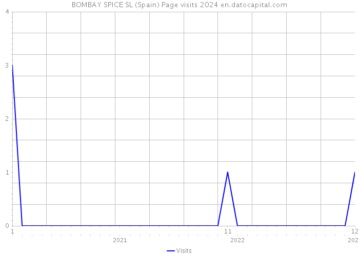 BOMBAY SPICE SL (Spain) Page visits 2024 