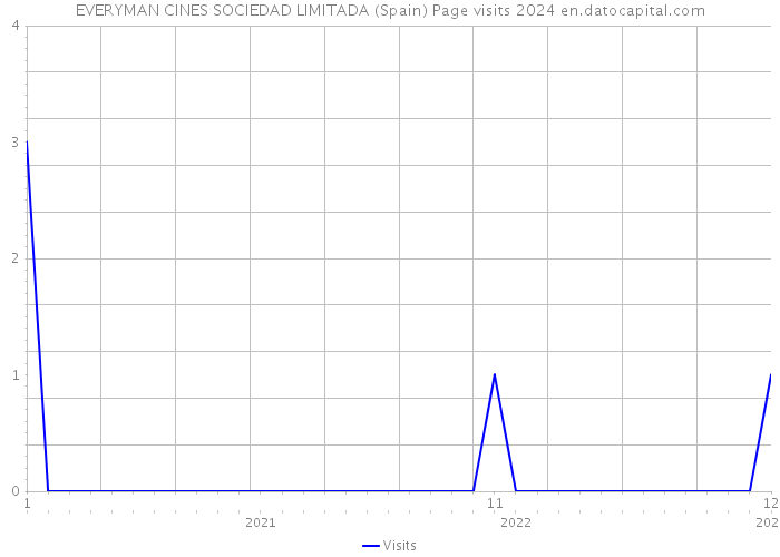 EVERYMAN CINES SOCIEDAD LIMITADA (Spain) Page visits 2024 