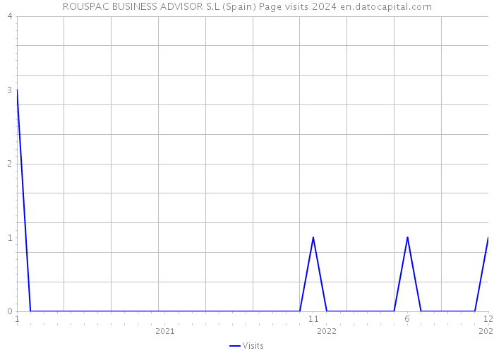 ROUSPAC BUSINESS ADVISOR S.L (Spain) Page visits 2024 