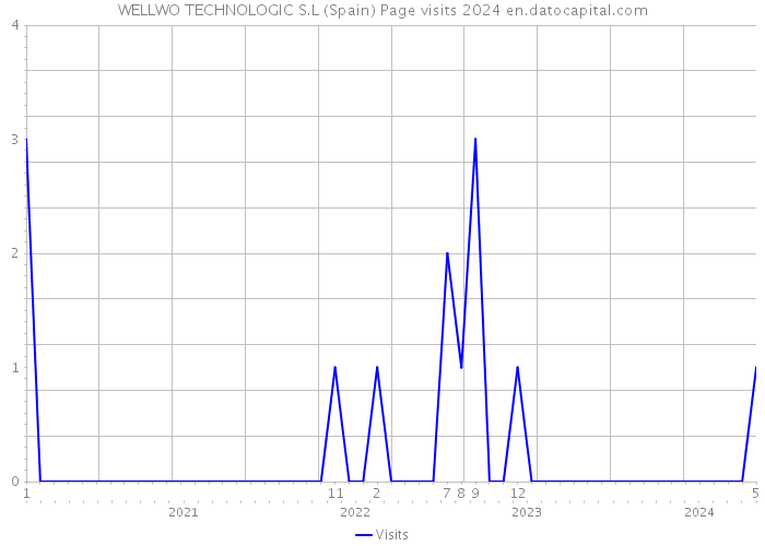WELLWO TECHNOLOGIC S.L (Spain) Page visits 2024 