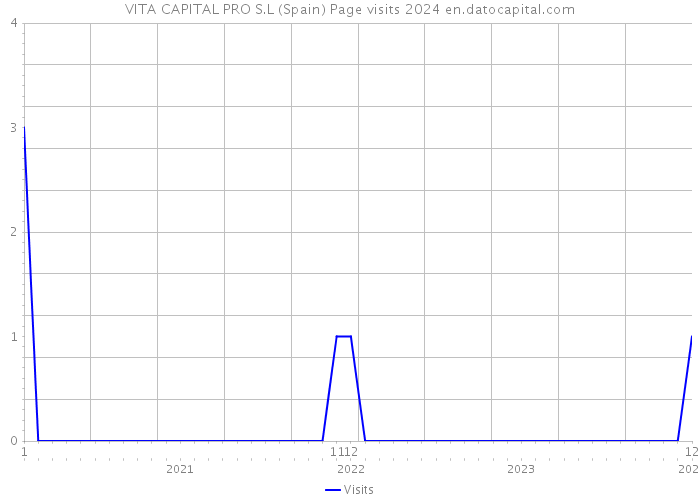 VITA CAPITAL PRO S.L (Spain) Page visits 2024 
