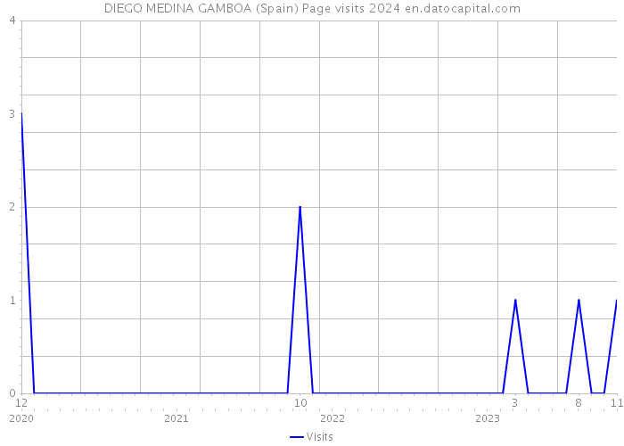 DIEGO MEDINA GAMBOA (Spain) Page visits 2024 