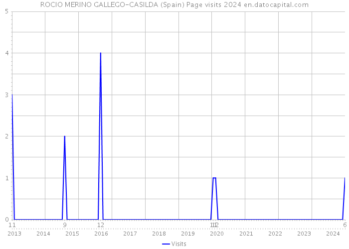 ROCIO MERINO GALLEGO-CASILDA (Spain) Page visits 2024 