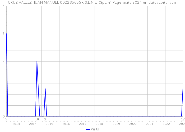 CRUZ VALLEZ, JUAN MANUEL 002265655R S.L.N.E. (Spain) Page visits 2024 