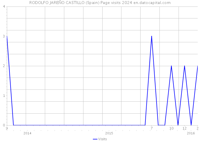 RODOLFO JAREÑO CASTILLO (Spain) Page visits 2024 