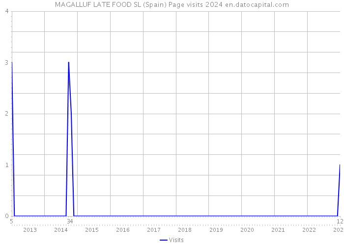 MAGALLUF LATE FOOD SL (Spain) Page visits 2024 