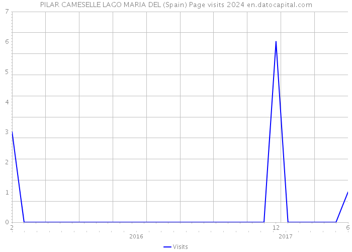 PILAR CAMESELLE LAGO MARIA DEL (Spain) Page visits 2024 