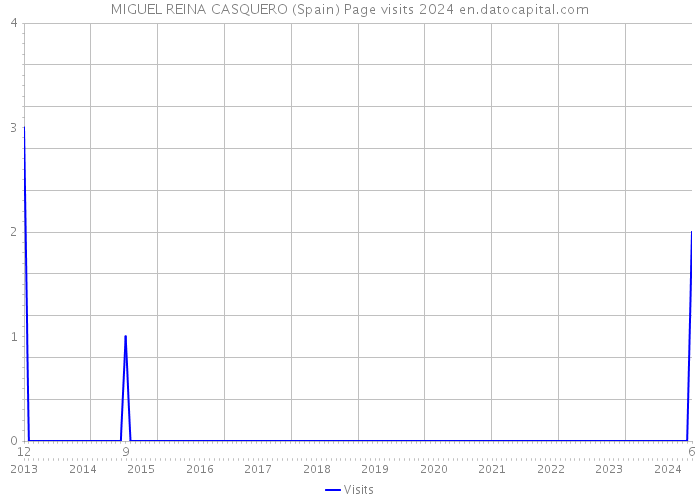 MIGUEL REINA CASQUERO (Spain) Page visits 2024 