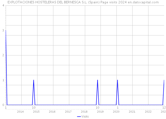 EXPLOTACIONES HOSTELERAS DEL BERNESGA S.L. (Spain) Page visits 2024 