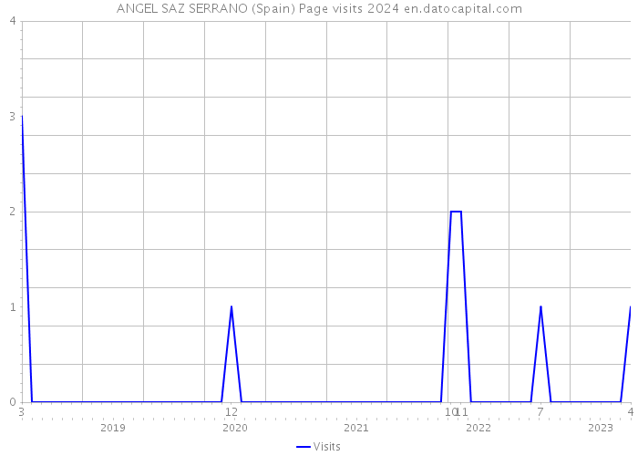 ANGEL SAZ SERRANO (Spain) Page visits 2024 