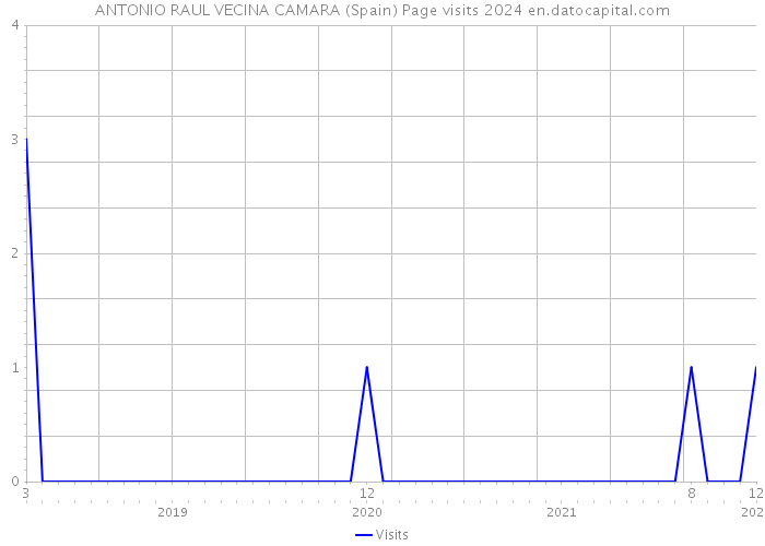 ANTONIO RAUL VECINA CAMARA (Spain) Page visits 2024 