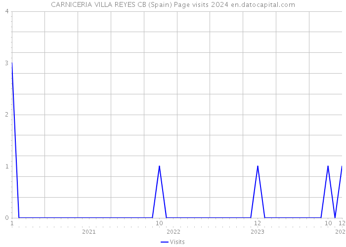 CARNICERIA VILLA REYES CB (Spain) Page visits 2024 