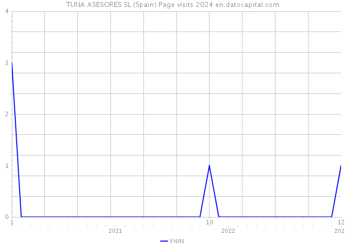 TUNA ASESORES SL (Spain) Page visits 2024 