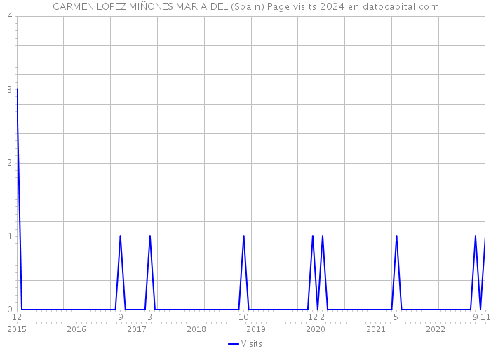 CARMEN LOPEZ MIÑONES MARIA DEL (Spain) Page visits 2024 