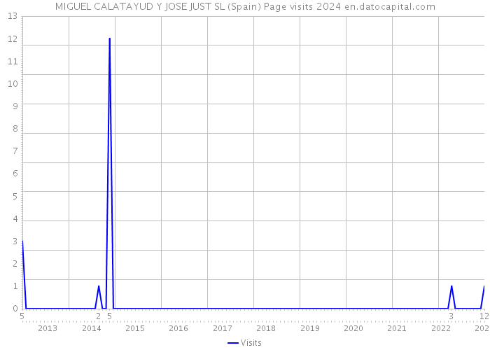 MIGUEL CALATAYUD Y JOSE JUST SL (Spain) Page visits 2024 