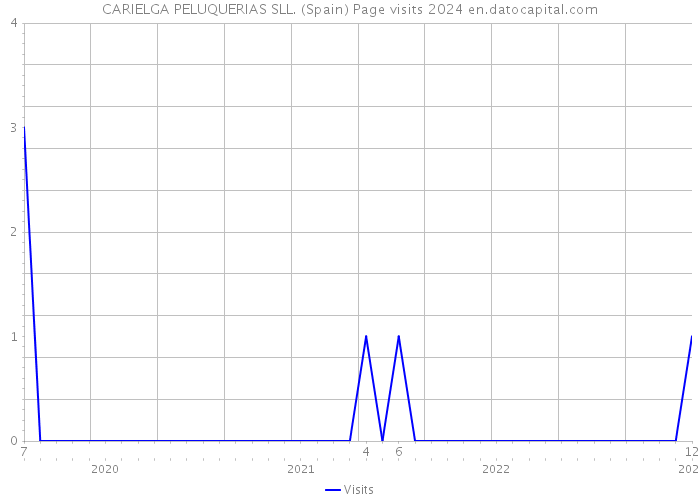 CARIELGA PELUQUERIAS SLL. (Spain) Page visits 2024 