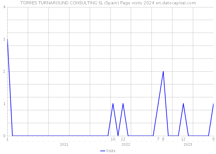 TORRES TURNAROUND CONSULTING SL (Spain) Page visits 2024 