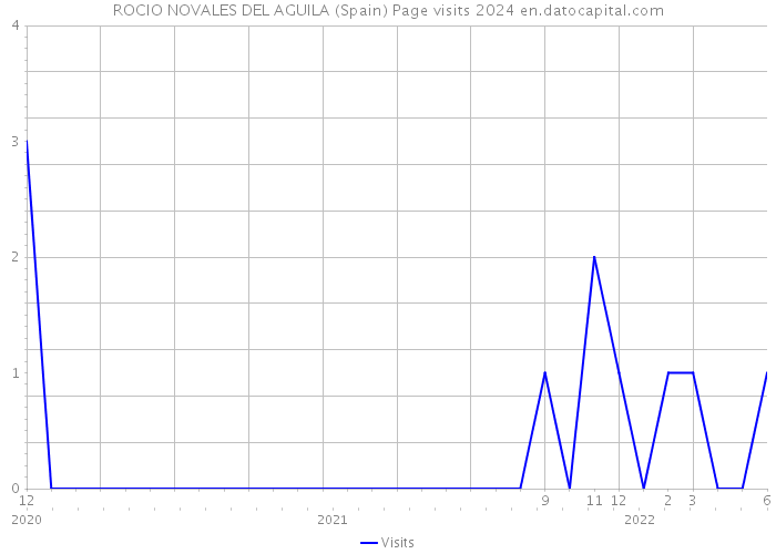 ROCIO NOVALES DEL AGUILA (Spain) Page visits 2024 
