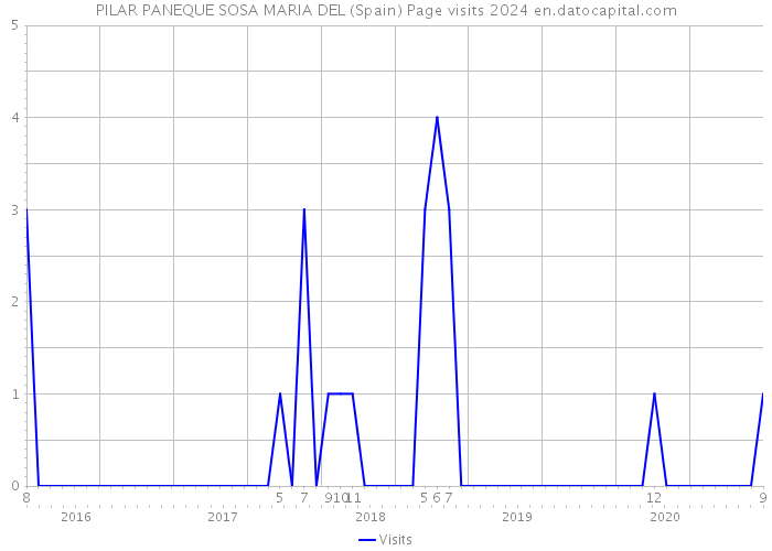 PILAR PANEQUE SOSA MARIA DEL (Spain) Page visits 2024 