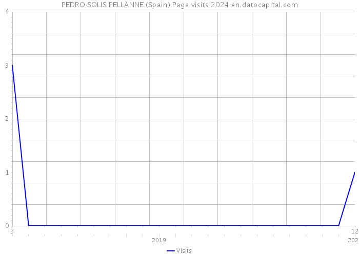 PEDRO SOLIS PELLANNE (Spain) Page visits 2024 