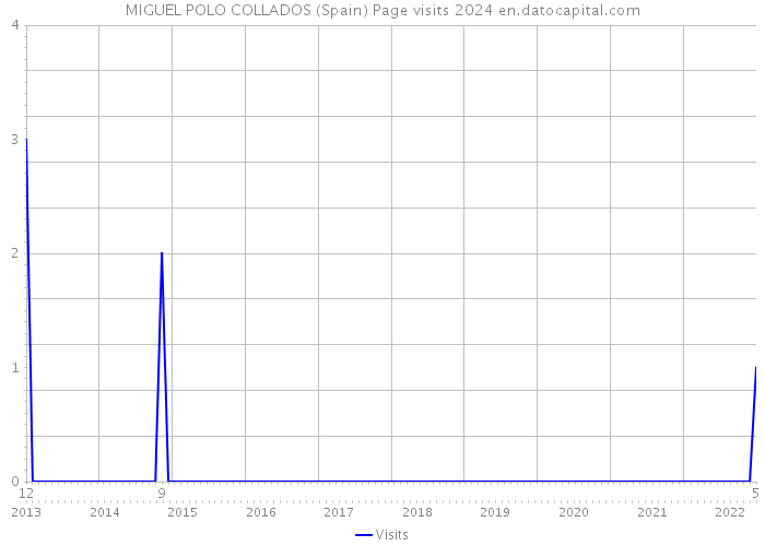 MIGUEL POLO COLLADOS (Spain) Page visits 2024 