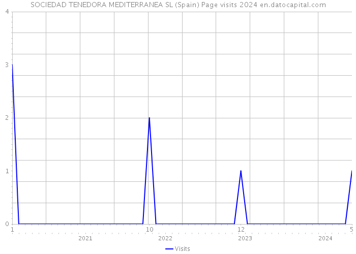 SOCIEDAD TENEDORA MEDITERRANEA SL (Spain) Page visits 2024 