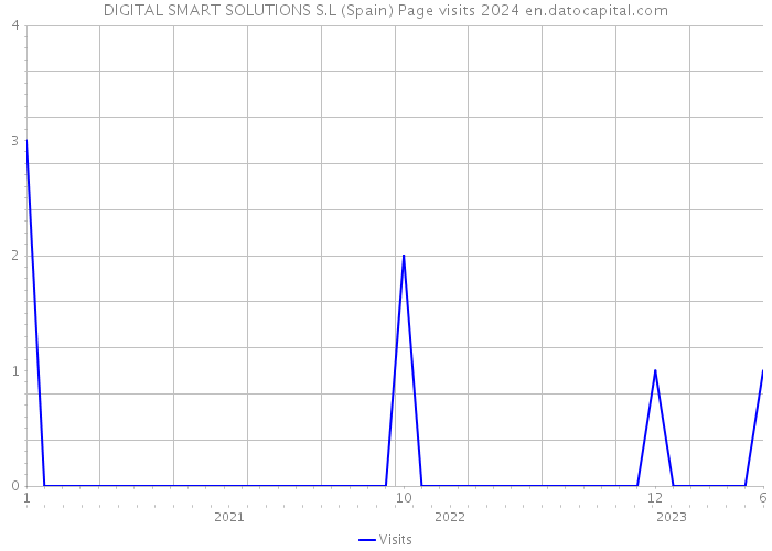DIGITAL SMART SOLUTIONS S.L (Spain) Page visits 2024 