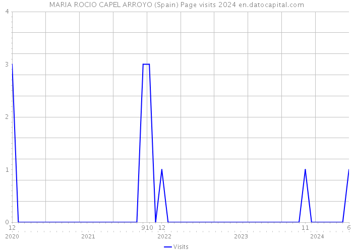 MARIA ROCIO CAPEL ARROYO (Spain) Page visits 2024 