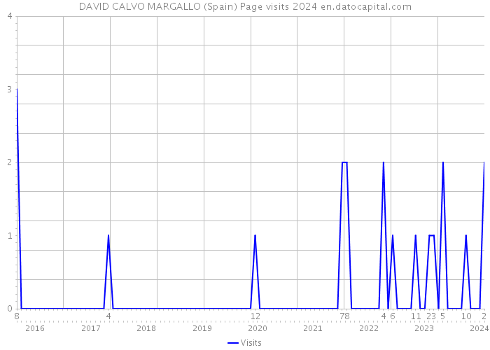 DAVID CALVO MARGALLO (Spain) Page visits 2024 