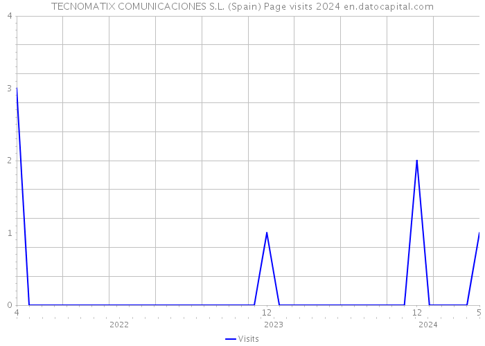 TECNOMATIX COMUNICACIONES S.L. (Spain) Page visits 2024 