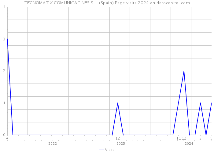 TECNOMATIX COMUNICACINES S.L. (Spain) Page visits 2024 