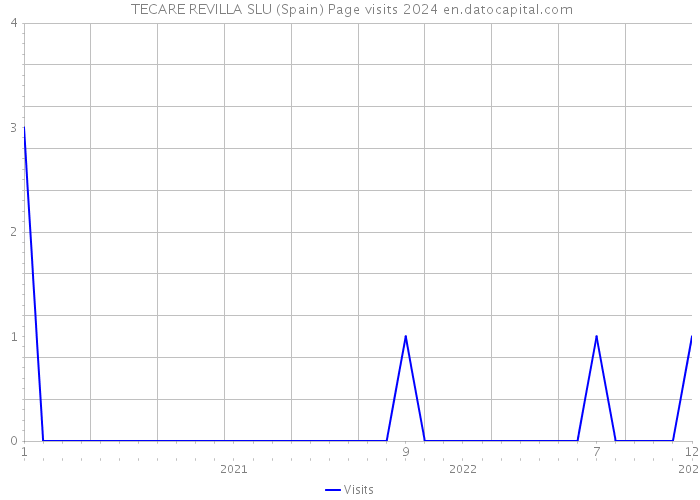  TECARE REVILLA SLU (Spain) Page visits 2024 