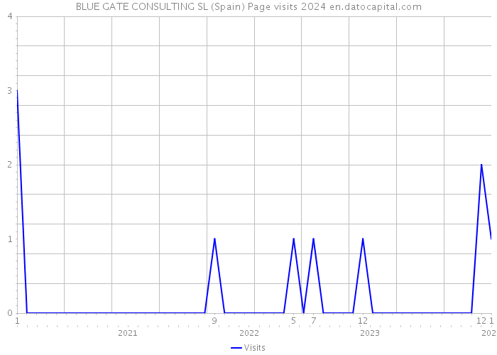BLUE GATE CONSULTING SL (Spain) Page visits 2024 