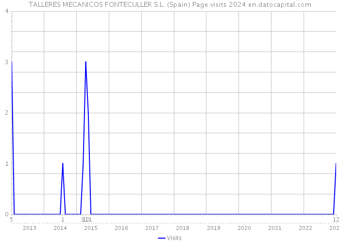 TALLERES MECANICOS FONTECULLER S.L. (Spain) Page visits 2024 
