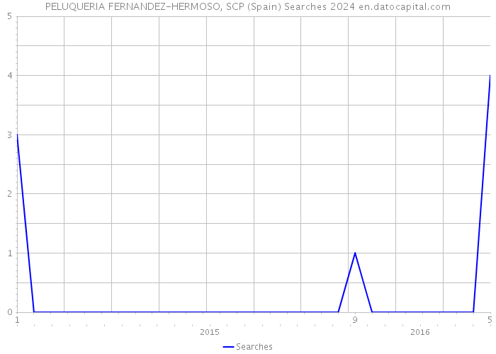 PELUQUERIA FERNANDEZ-HERMOSO, SCP (Spain) Searches 2024 