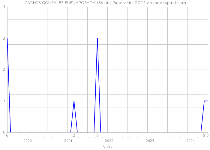 CARLOS GONZALEZ BUENAPOSADA (Spain) Page visits 2024 