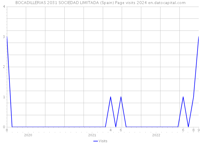 BOCADILLERIAS 2031 SOCIEDAD LIMITADA (Spain) Page visits 2024 