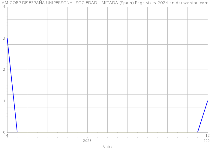 AMICORP DE ESPAÑA UNIPERSONAL SOCIEDAD LIMITADA (Spain) Page visits 2024 