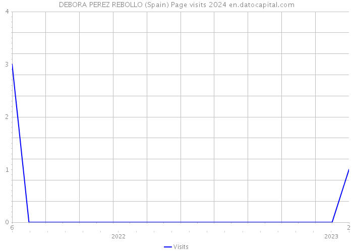 DEBORA PEREZ REBOLLO (Spain) Page visits 2024 
