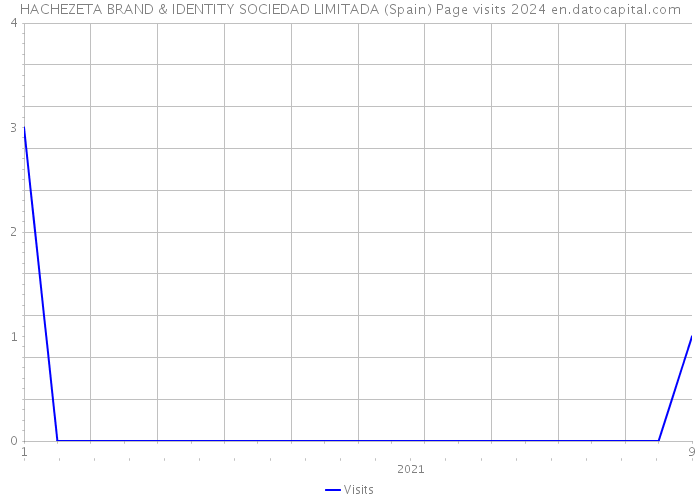 HACHEZETA BRAND & IDENTITY SOCIEDAD LIMITADA (Spain) Page visits 2024 