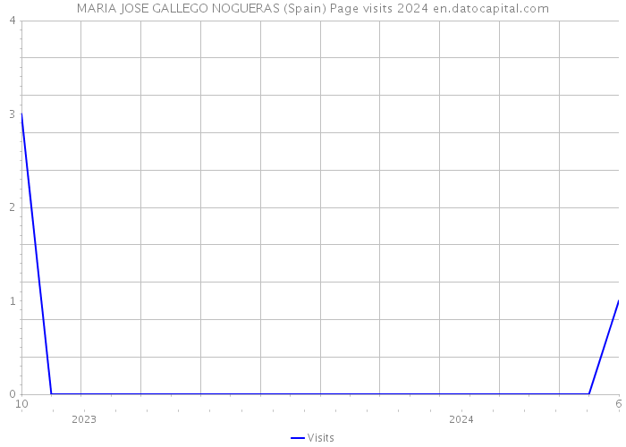 MARIA JOSE GALLEGO NOGUERAS (Spain) Page visits 2024 